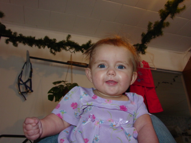 dsc00519.jpg
